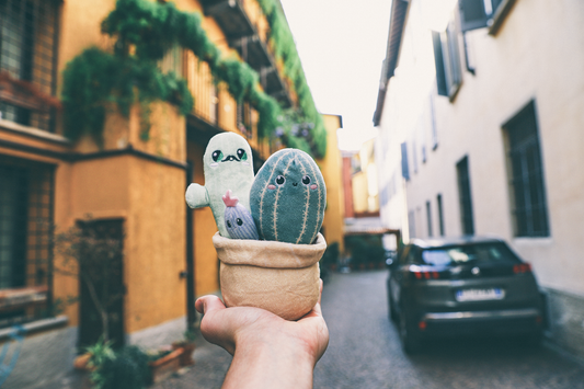 Mr. Cactus & Family Plush Soft Toy - 30% OFF