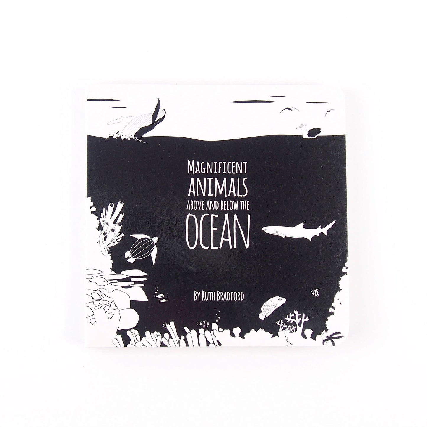 Baby Board Book - Magnificent Animals from Above and Below the Ocean