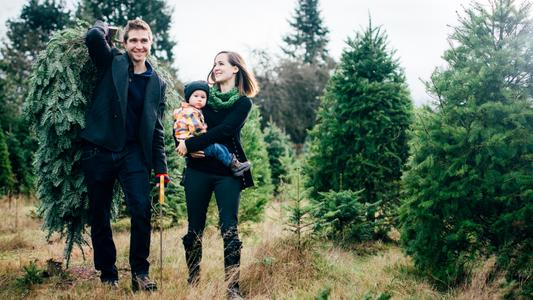 How to have an eco-friendly family Christmas