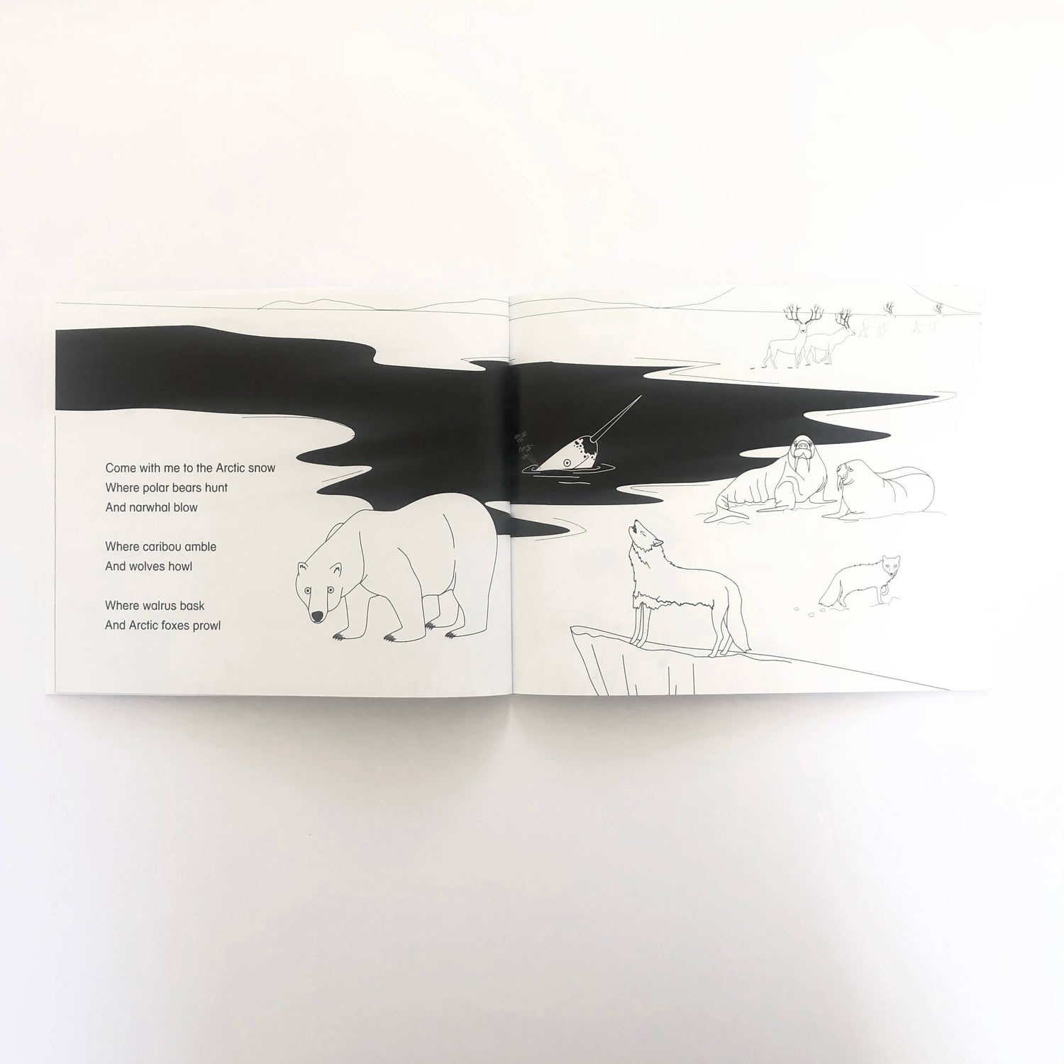 Explore With Me Book Paperback Story Book - Come Explore With Me – Eco Bambini