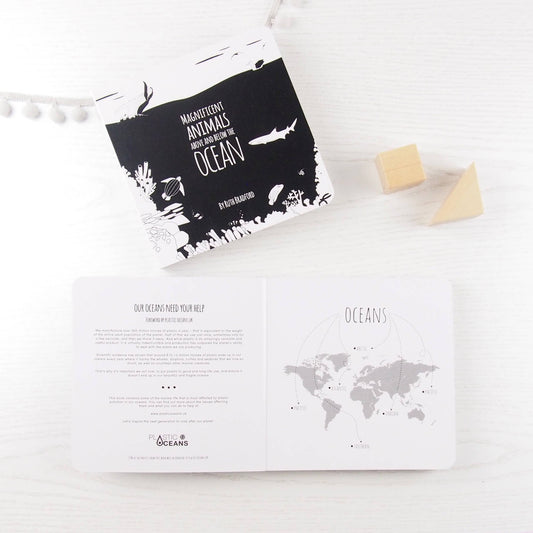 Baby Board Book - Magnificent Animals from Above and Below the Ocean